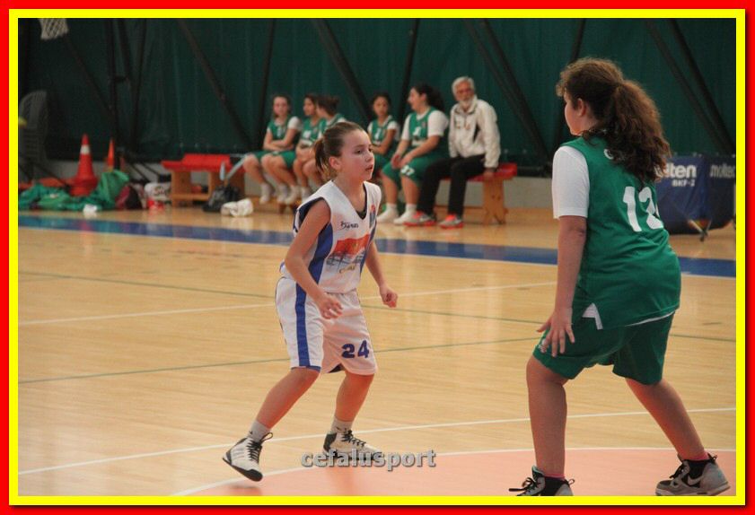 140301 GM_basket 149_tn.jpg
